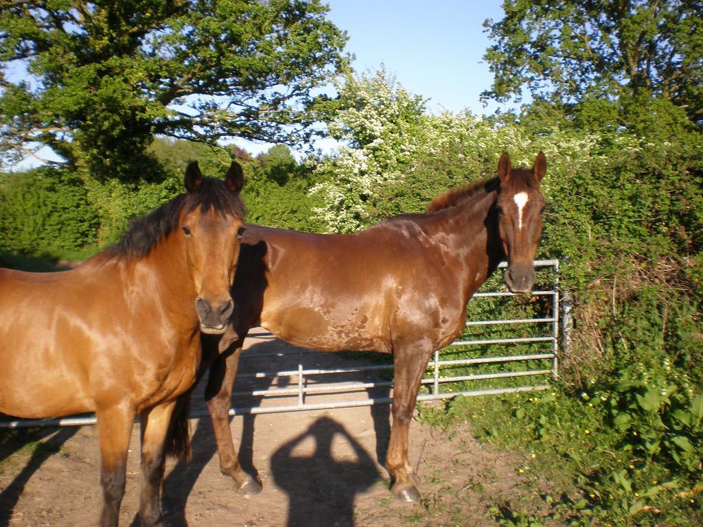 Austons Down Farm B&B Claverdon エクステリア 写真