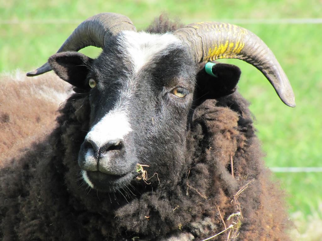 Austons Down Farm B&B Claverdon エクステリア 写真
