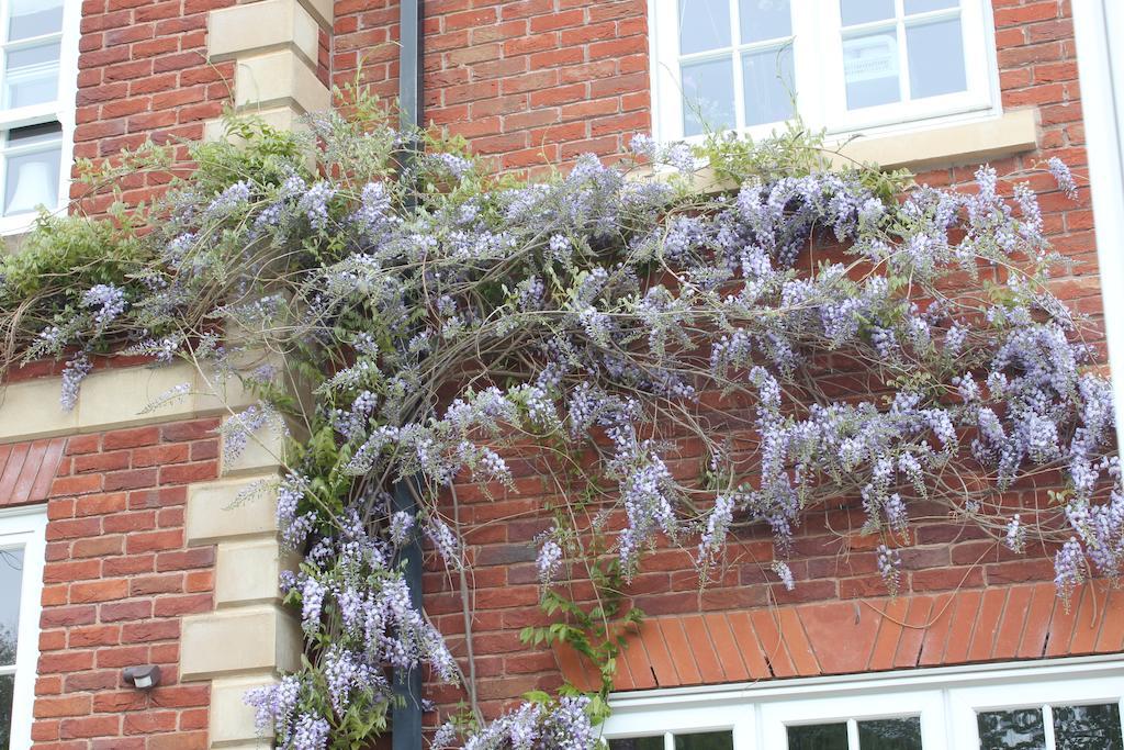 Austons Down Farm B&B Claverdon エクステリア 写真